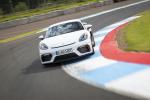 Porsche 718 Cayman GT4 2019 года (WW)